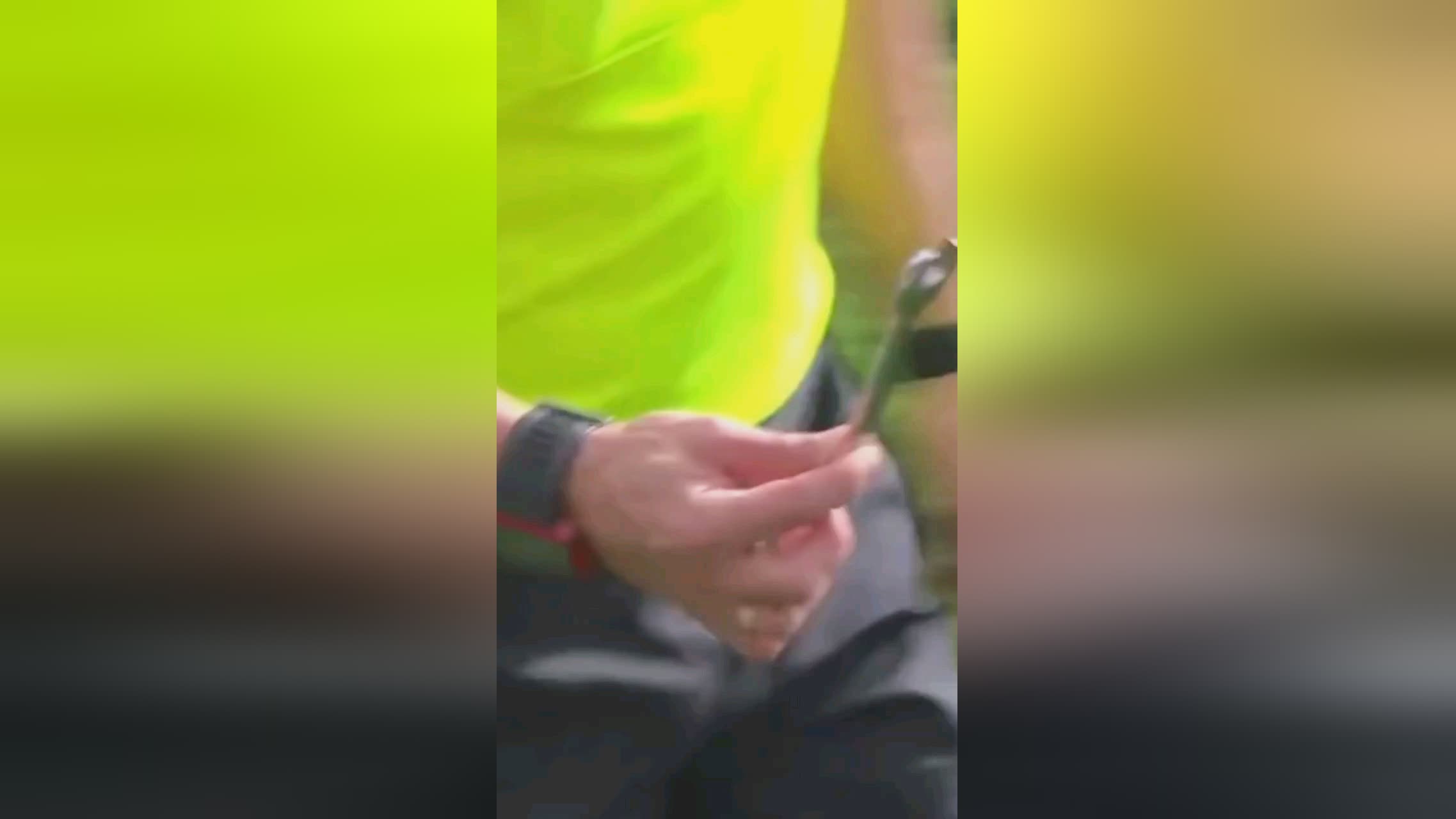 对手的反